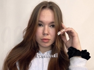 Breedevall