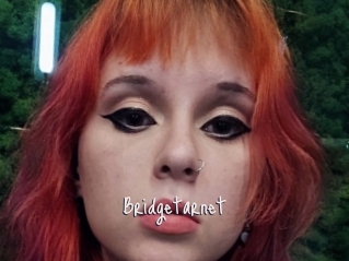 Bridgetarnet