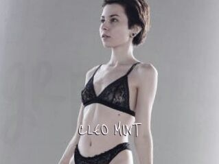 CLEO_MINT