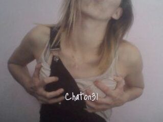 Chaton31