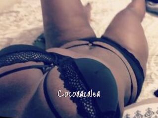 Cocoaazalea