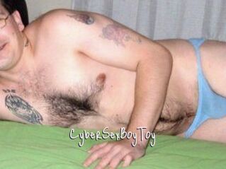 CyberSexBoyToy