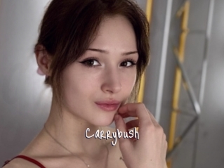Carrybush