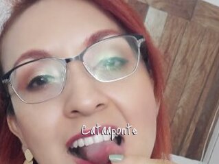 Cataaponte