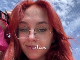 Catecovil