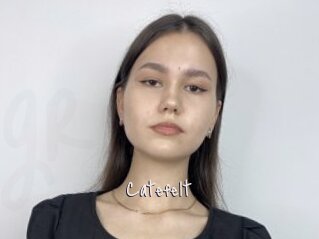 Catefelt