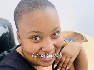 Cocoflames23