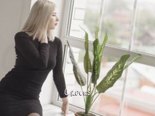 Crocus