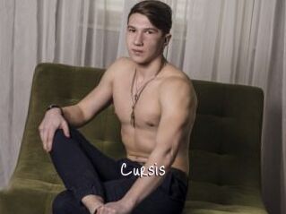 Cursis