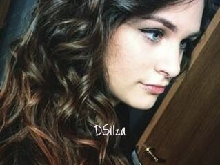 DSilza
