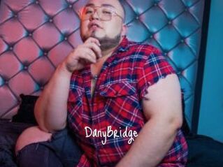 DanyBridge