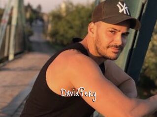 DavidPery