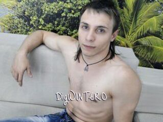 DigWINTERO