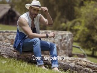DomiinicSantos