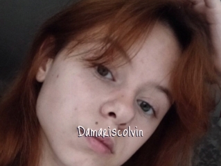Damariscolvin