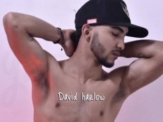 David_harlow