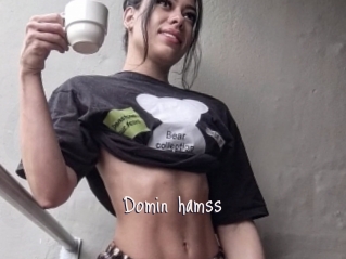 Domin_hamss