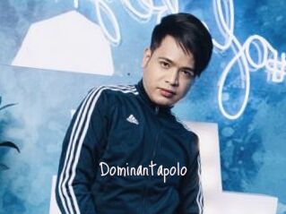 Dominantapolo
