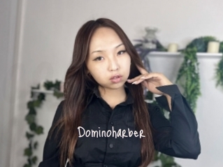 Dominoharber