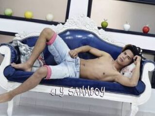 ELY_SAMMBOY