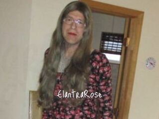 Elantra_Rose