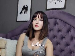 EvaBrix