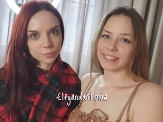 Elfyandantonia