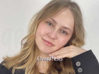 Elvinaatkins