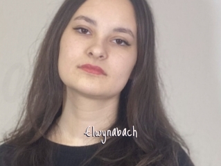 Elwynabach