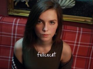Felicecat
