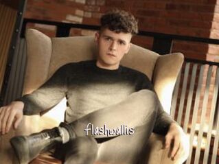 Flashwallis