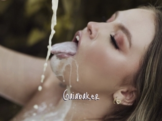 Gaiabaker