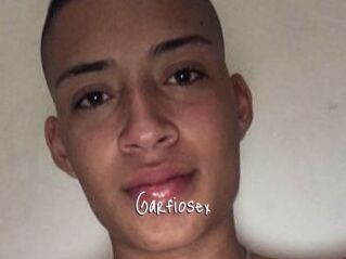 Garfiosex