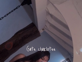 Gate_charlotee