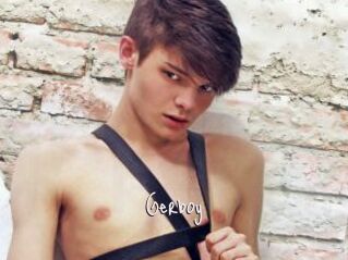 Gerboy
