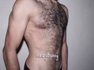 HairyBunny