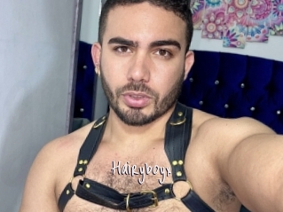 Hairyboyx