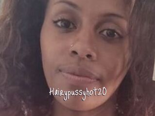 Hairypussyhot20