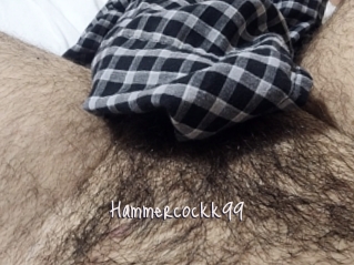 Hammercockk99
