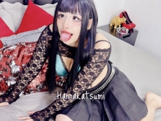 Hannakatsumi