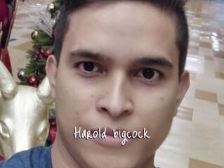 Harold_bigcock