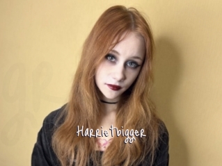Harrietbigger