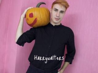 Harrywalters