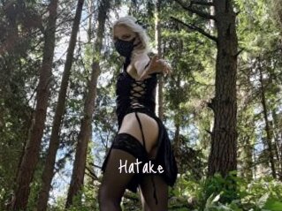 Hatake