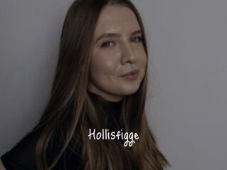 Hollisfigge