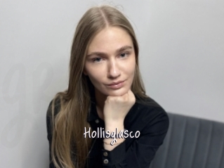 Hollisglasco