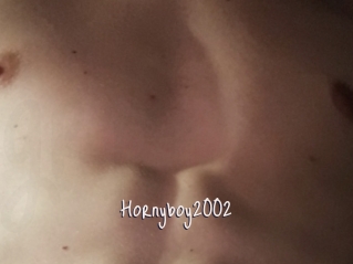 Hornyboy2002