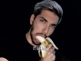 Itsgelviz
