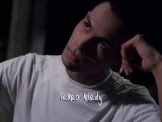 Ikaro_birdy