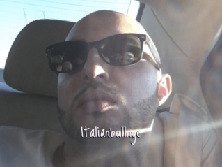 Italianbullnyc